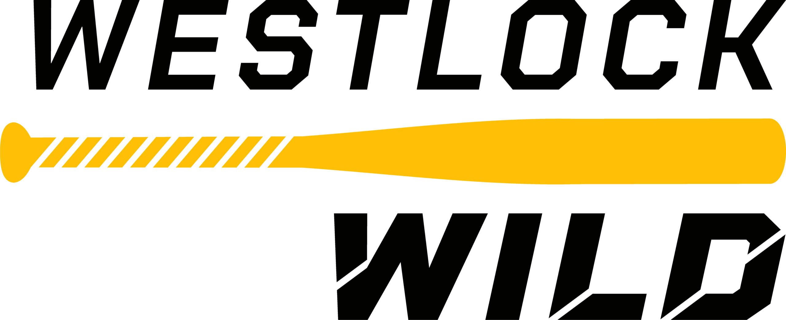 Logo 13